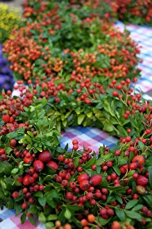 Farmers: Germany, Bavaria, Passau. Open-air farmer's