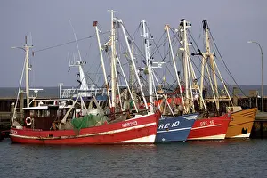 Sylt: Germany - Fishing Boats in harbour. Island of Sylt