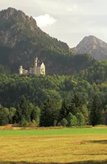 Turret: Germany, Fussen. Neuschwanstein Castle