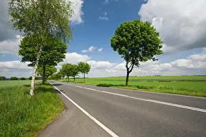 Niedersachsen: Germany, Niedersachsen, Bergen. Rt 3 in