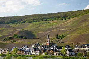 Lancecheck: Germany, Rheinland-Pfaltz, Mosel River Valley