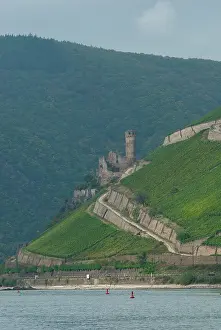 Rhein: Germany, Rhine River. View between Mainz