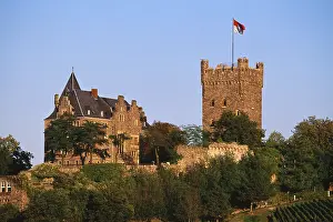 Haseltine: Germany, Rhineland-Palatinate, Bingen am