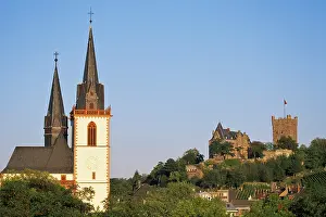 Haseltine: Germany, Rhineland-Palatinate, Bingen am