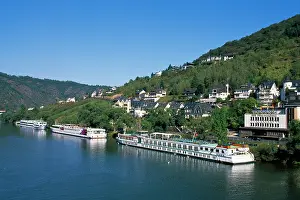 Haseltine: Germany, Rhineland-Palatinate, Cochem, Mosel