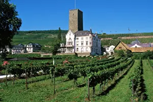 Haseltine: Germany, Rudesheim, Rhine Gorge, Boosenburg