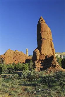 1997: Geyser Remnant, Kodachrome Basin, Utah