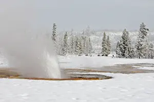 Geysers: Geyser - in snow