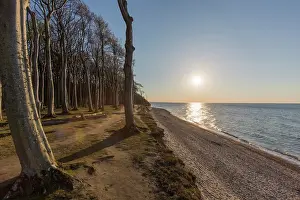 Ghost: The Ghost Forest near the village of Nienhagen -