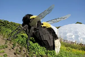 Models: Giant bee model - Eden Project