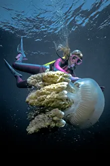 Valerie: Giant Jellyfish - Valerie Taylor with a giant jellyfish