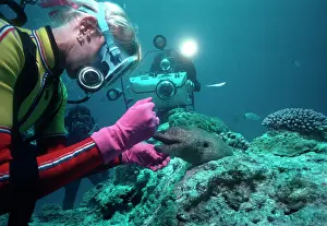 Cameraman: Giant Moray Eel - called Harry, and Valerie Taylor