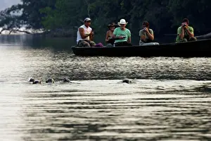 Photographers: Giant Otter - in Lake Sandoval