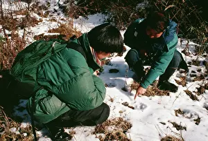 Pugmarks: Giant Panda - Pan Wenshi & Lu Zhi pointing out