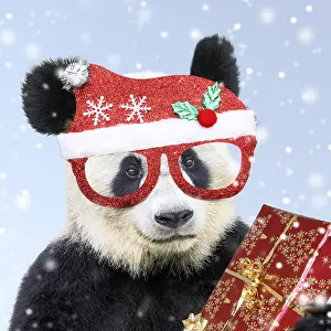 Presents: Giant Panda, wearing Christmas hat holding present