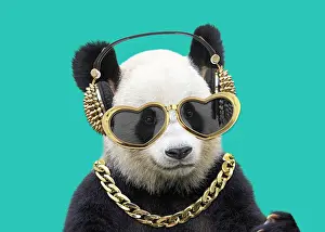 Headphones: Giant Panda, wearing gold headphones heart-shaped