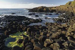 Causeway: The Giant's Causeway