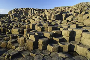 Causeway: The Giant's Causeway