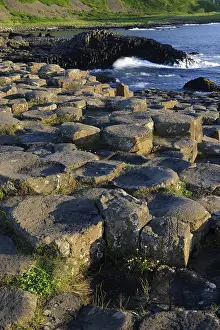 Causeway: The Giant's Causeway