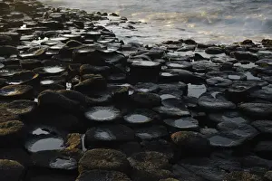 Causeway: The Giant's Causeway