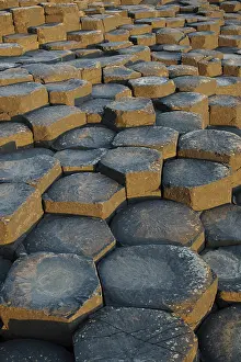 Causeway: The Giant's Causeway