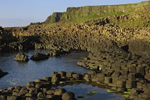 Causeway: The Giant's Causeway