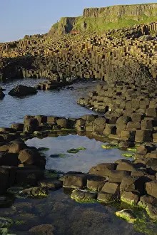 Causeway: The Giant's Causeway