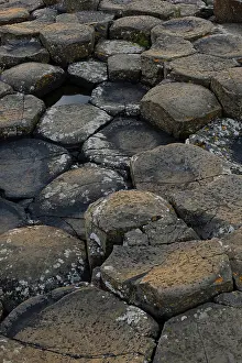Causeway: The Giant's Causeway
