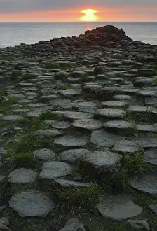 Causeway: The Giant's Causeway