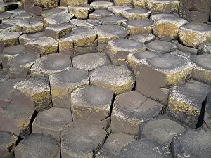Tertiary: Giants Causeway, County Antrim, Northern