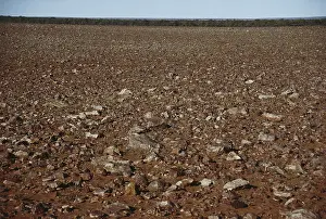 Aeolian: Gibber Plain