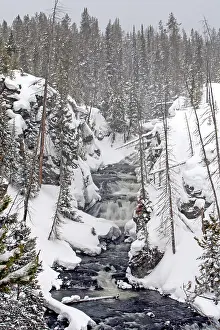 Gibbon: Gibbon Falls - in snow