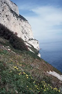 Gibraltar: GIBRALTAR - East side of rock & Spring Flowers