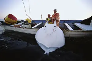 Fishermen: Gill Net Fisherman & Manta Ray