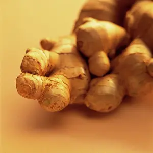 Zingiber: Ginger