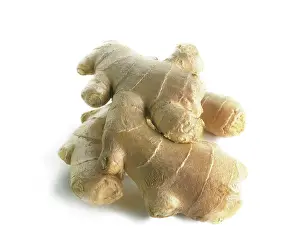 Zingiber: Ginger