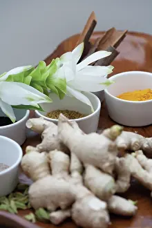 Tray: Ginger