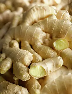 Officinale: Ginger, Zingiber officinale, Overhead view of several