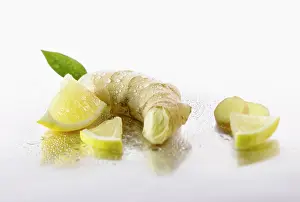 Officinale: Ginger, Zingiber officinale root with Lemon, Citrus