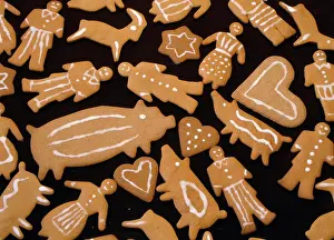 Biscuit: GINGERBREAD BISCUITS