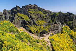 Tower: Ginster, Berge, Aussichtspunkt, Pico das Torres
