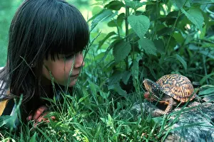 Terrapene: Girl and Box Turtle