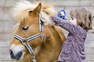 Tendernesses: Girl brushes the mane of a pony France
