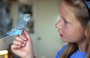 Undulatus: Girl and Budgie