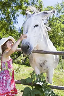 Preventions: Girl caressing a donkey in his meadow Provence France