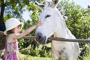 Preventions: Girl caressing a donkey in his meadow Provence France
