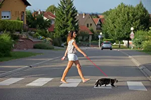 Crossings: Girl with a cat on a lead crossing the street