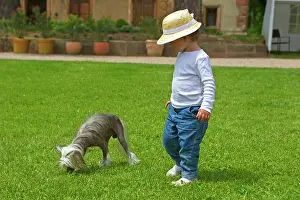 Headdress: Girl and Chinese crested dog in the grass - France