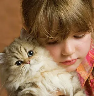 Holdiing: Girl - cuddling Persian Kitten