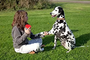 Tricks: Girl & Dog - Teenage girl sitting holding paw of